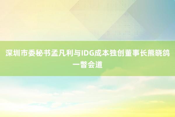 深圳市委秘书孟凡利与IDG成本独创董事长熊晓鸽一瞥会道