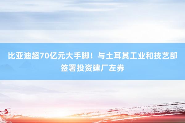 比亚迪超70亿元大手脚！与土耳其工业和技艺部签署投资建厂左券