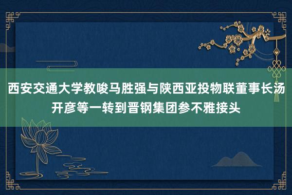 西安交通大学教唆马胜强与陕西亚投物联董事长汤开彦等一转到晋钢集团参不雅接头