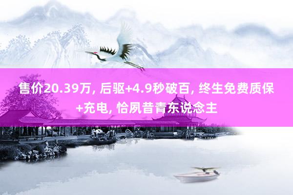 售价20.39万, 后驱+4.9秒破百, 终生免费质保+充电, 恰夙昔青东说念主