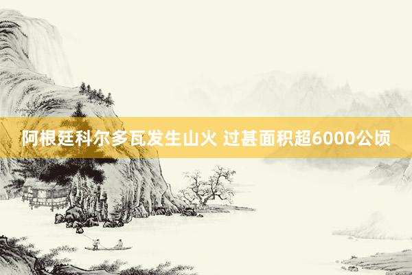 阿根廷科尔多瓦发生山火 过甚面积超6000公顷