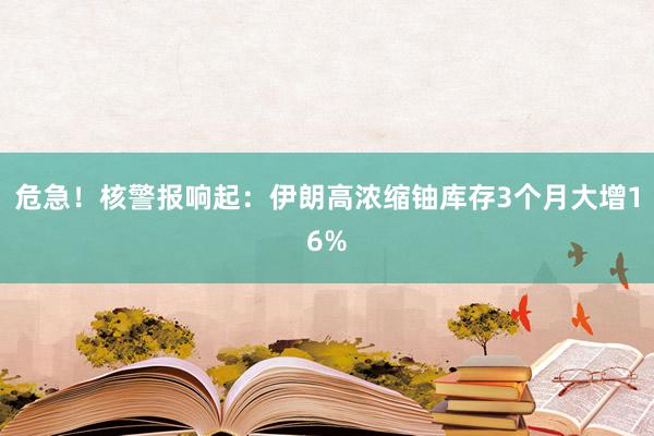 危急！核警报响起：伊朗高浓缩铀库存3个月大增16%