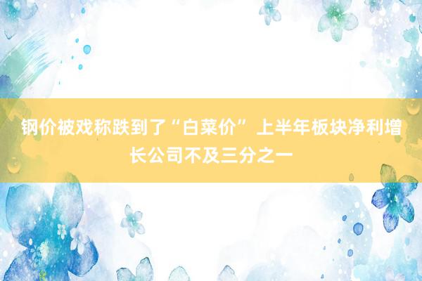 钢价被戏称跌到了“白菜价” 上半年板块净利增长公司不及三分之一