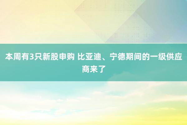 本周有3只新股申购 比亚迪、宁德期间的一级供应商来了