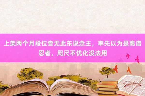 上架两个月段位查无此东说念主，率先以为是离谱忍者，咫尺不优化没法用