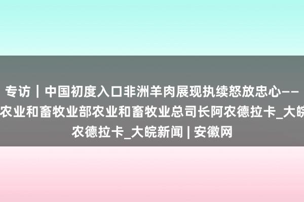 专访｜中国初度入口非洲羊肉展现执续怒放忠心——访马达加斯加农业和畜牧业部农业和畜牧业总司长阿农德拉卡_大皖新闻 | 安徽网